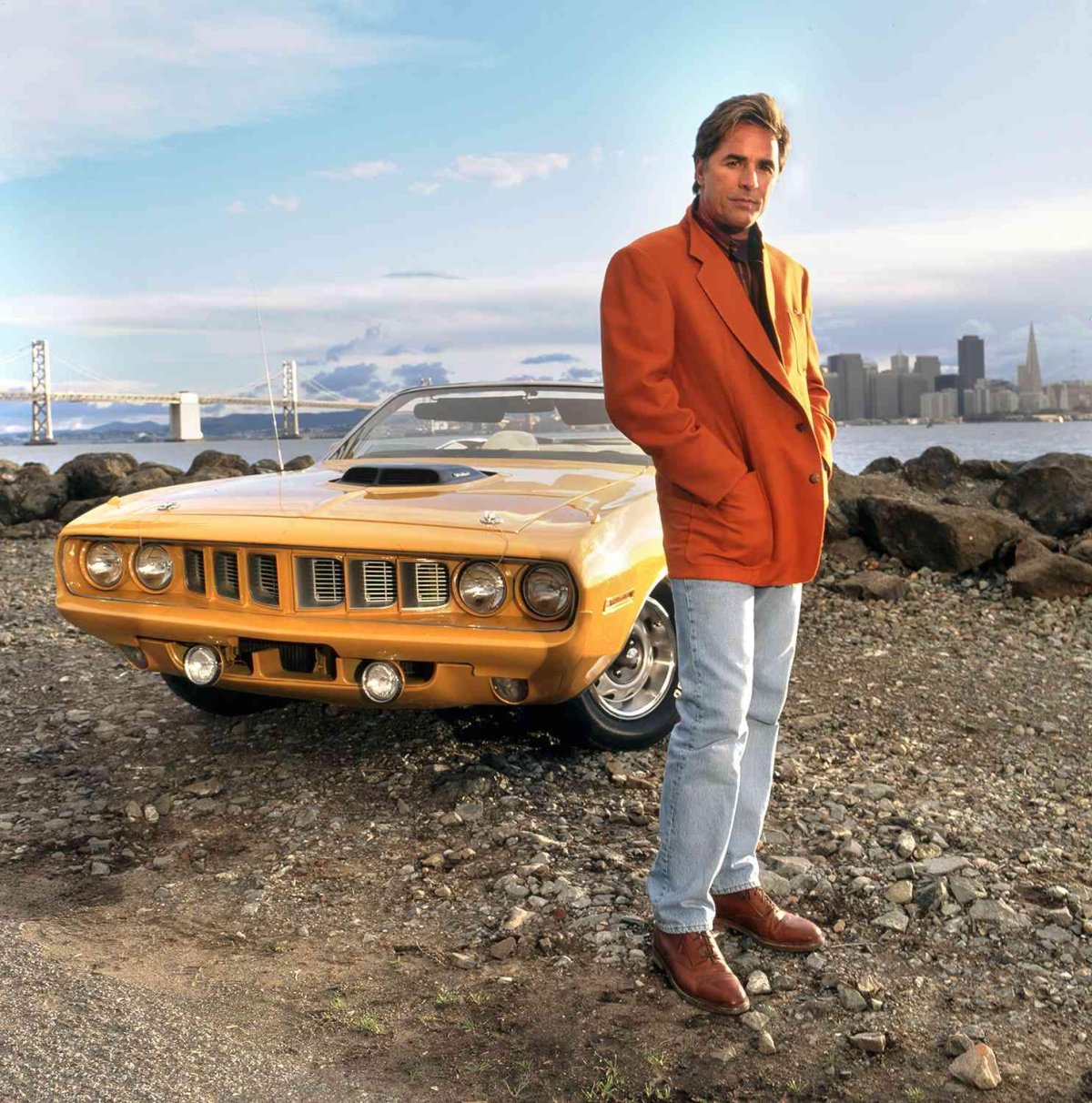 Дон Джонсон Нэш Бриджес