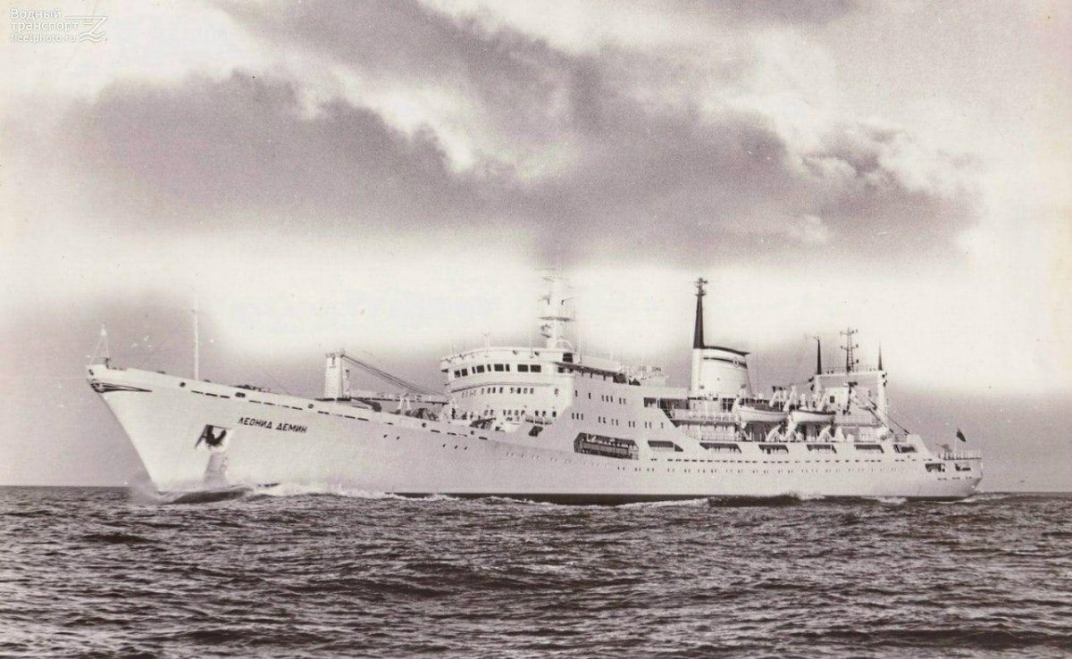 Судно Леонид Демин Гогланд