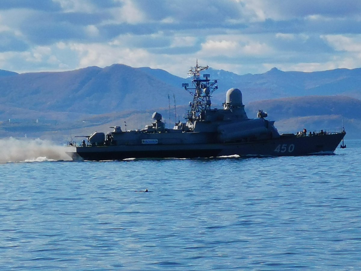 Малые ракетные корабли Тихоокеанского флота России