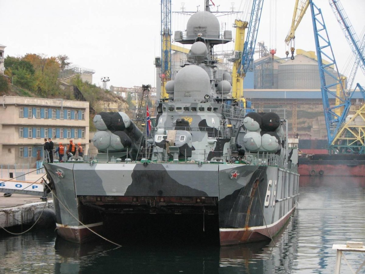 МРК проекта 1239 сивуч