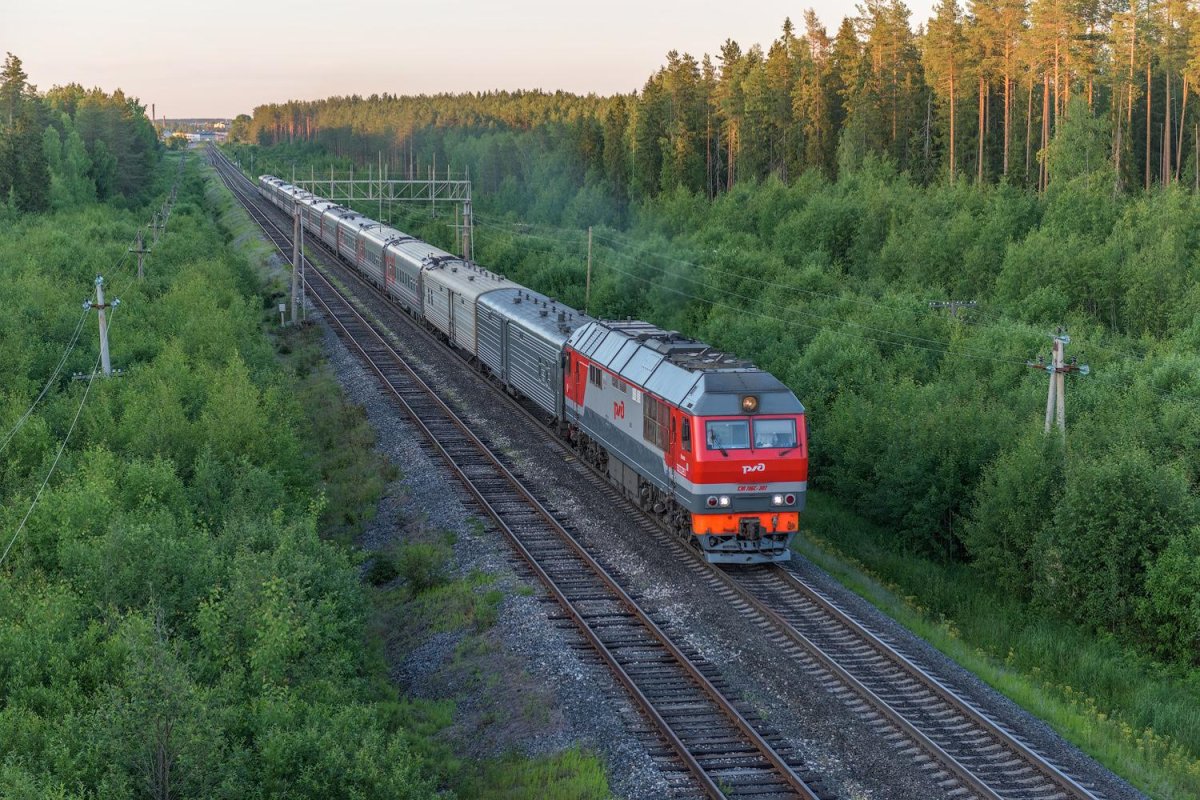 Поезд Вельск