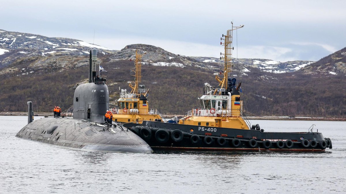 Нерпичья губа