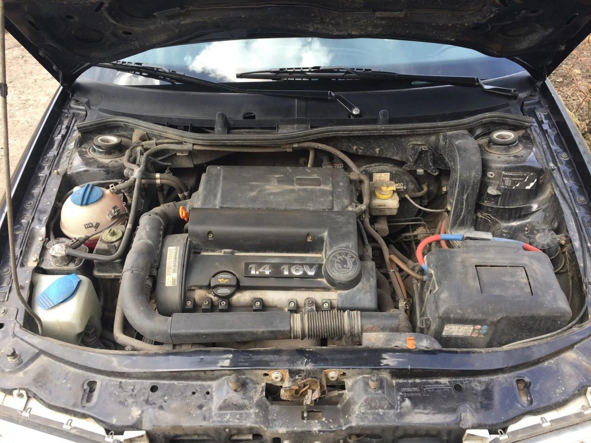Skoda Octavia Tour 1.4 подкапотное
