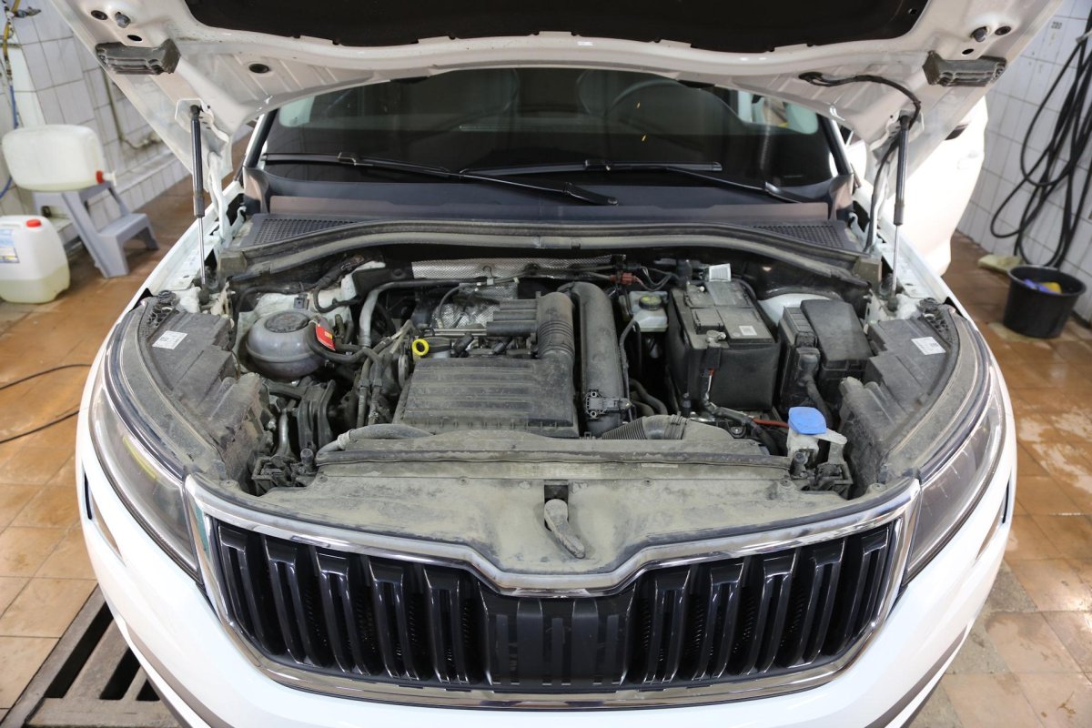 Моторный отсек Шкода Кодиак