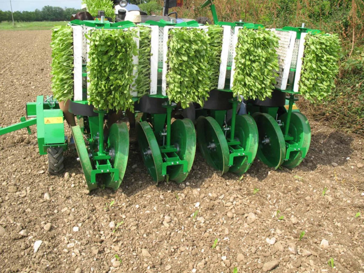 Рассадопосадочная машина СКН 1