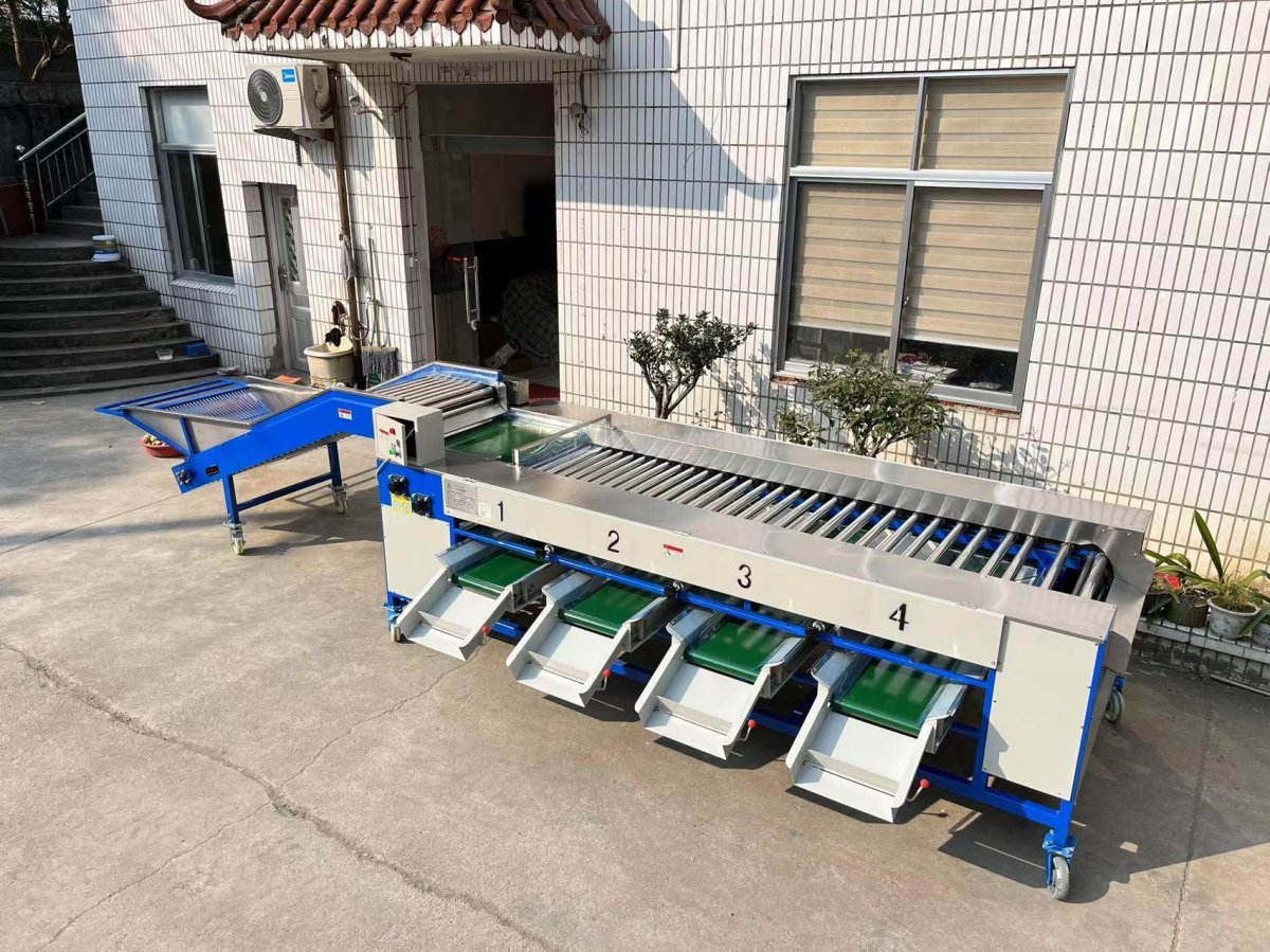 Сортировочно-Калибровочное оборудование