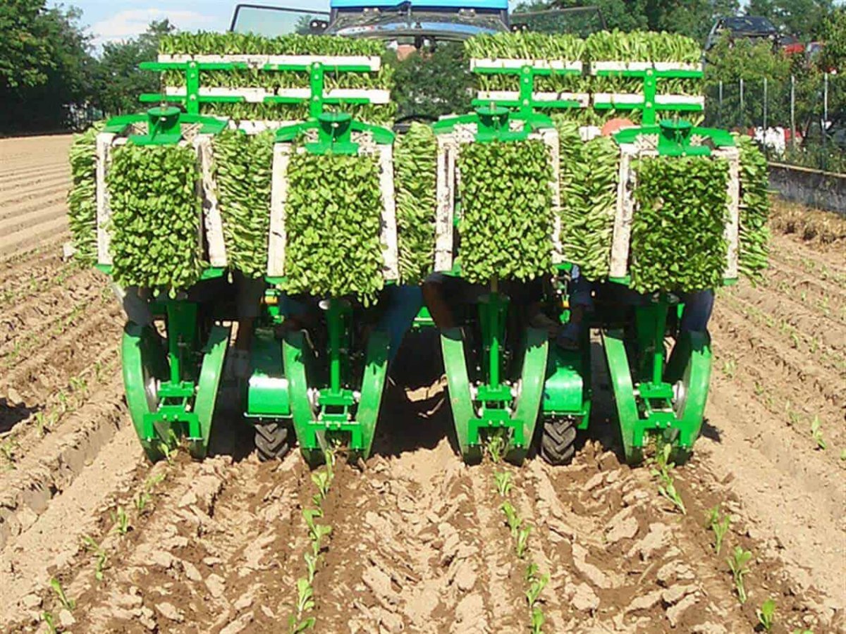 Сеялка sfoggia