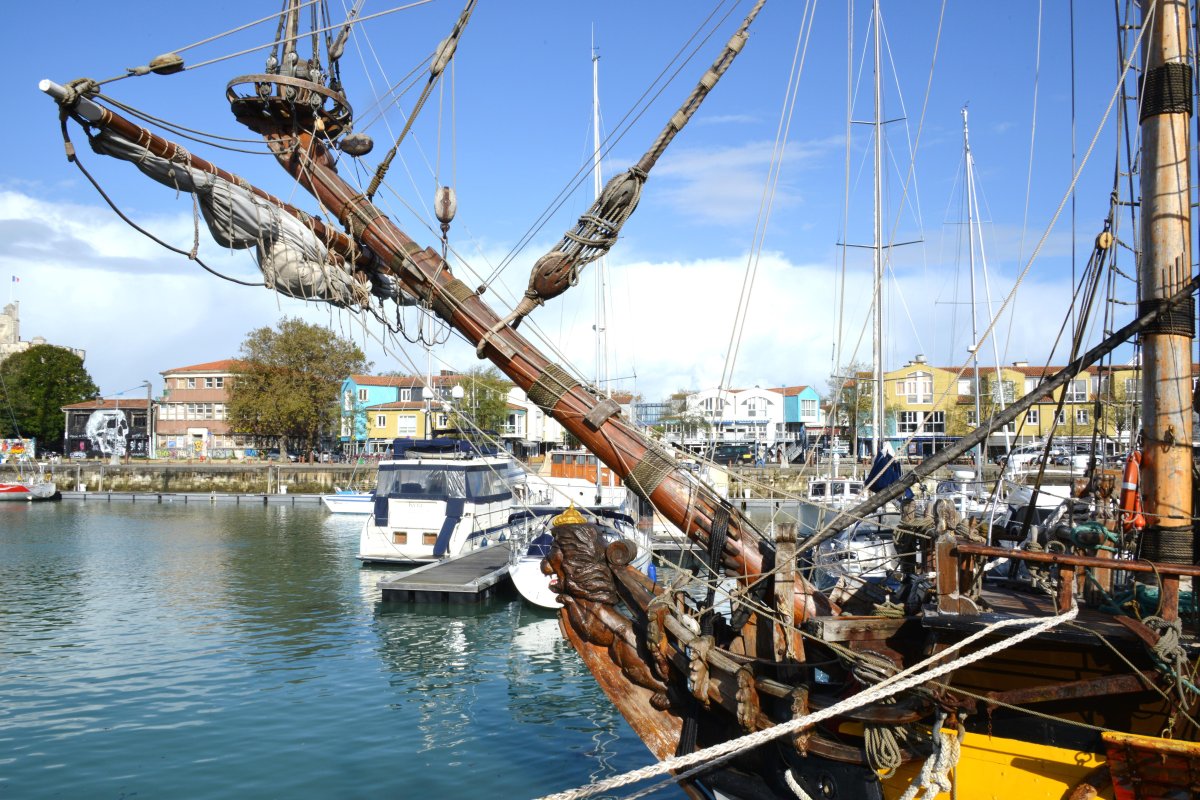 Штандарт Фрегат, 1999 фото