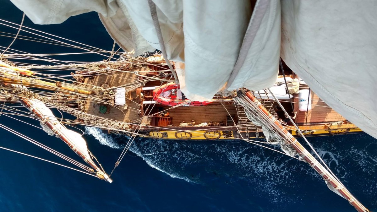 Поднять паруса