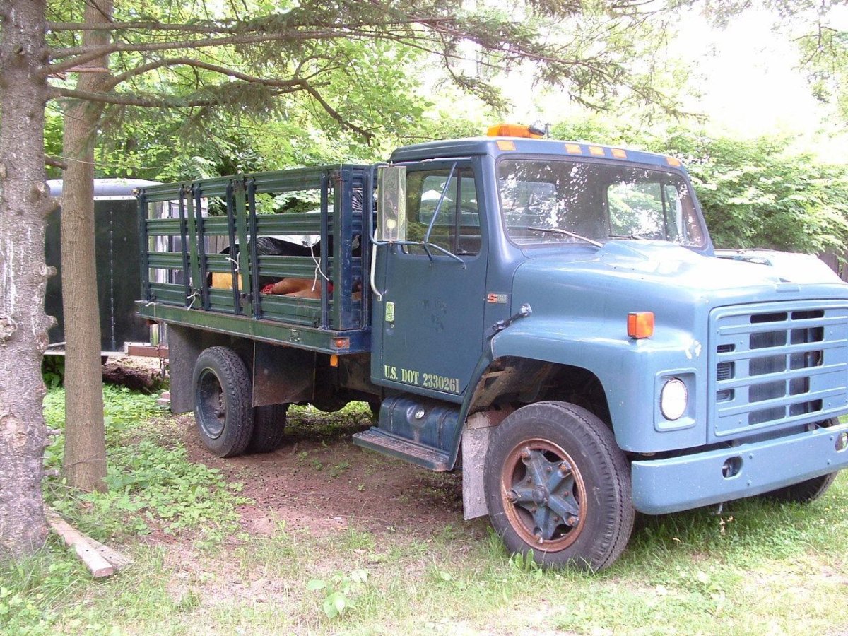 Интернэшнл харвестер 1900