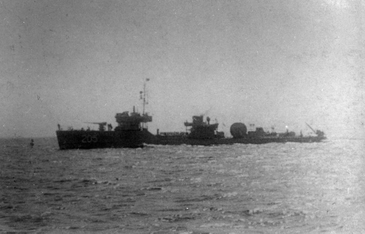 Гвардейский тральщик "т-205" ("ГАФЕЛЬ")