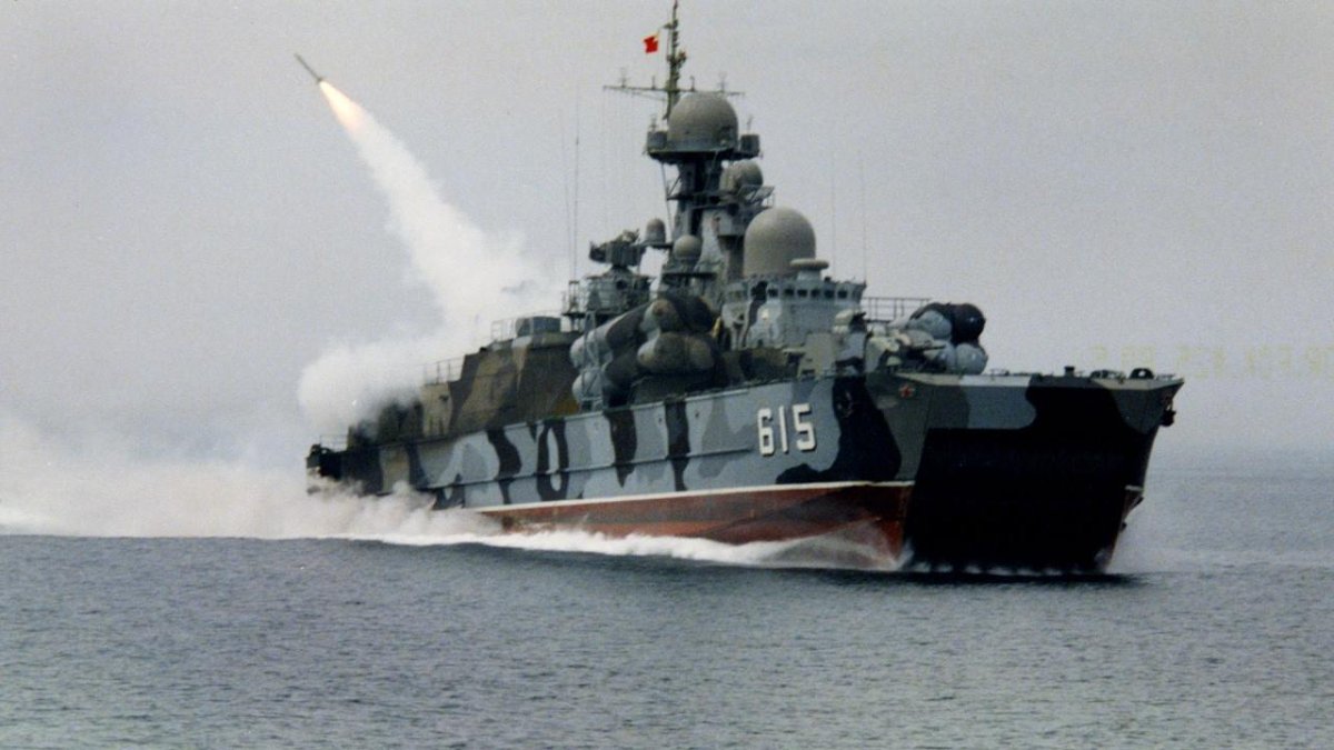 РКВП Бора проекта 1239