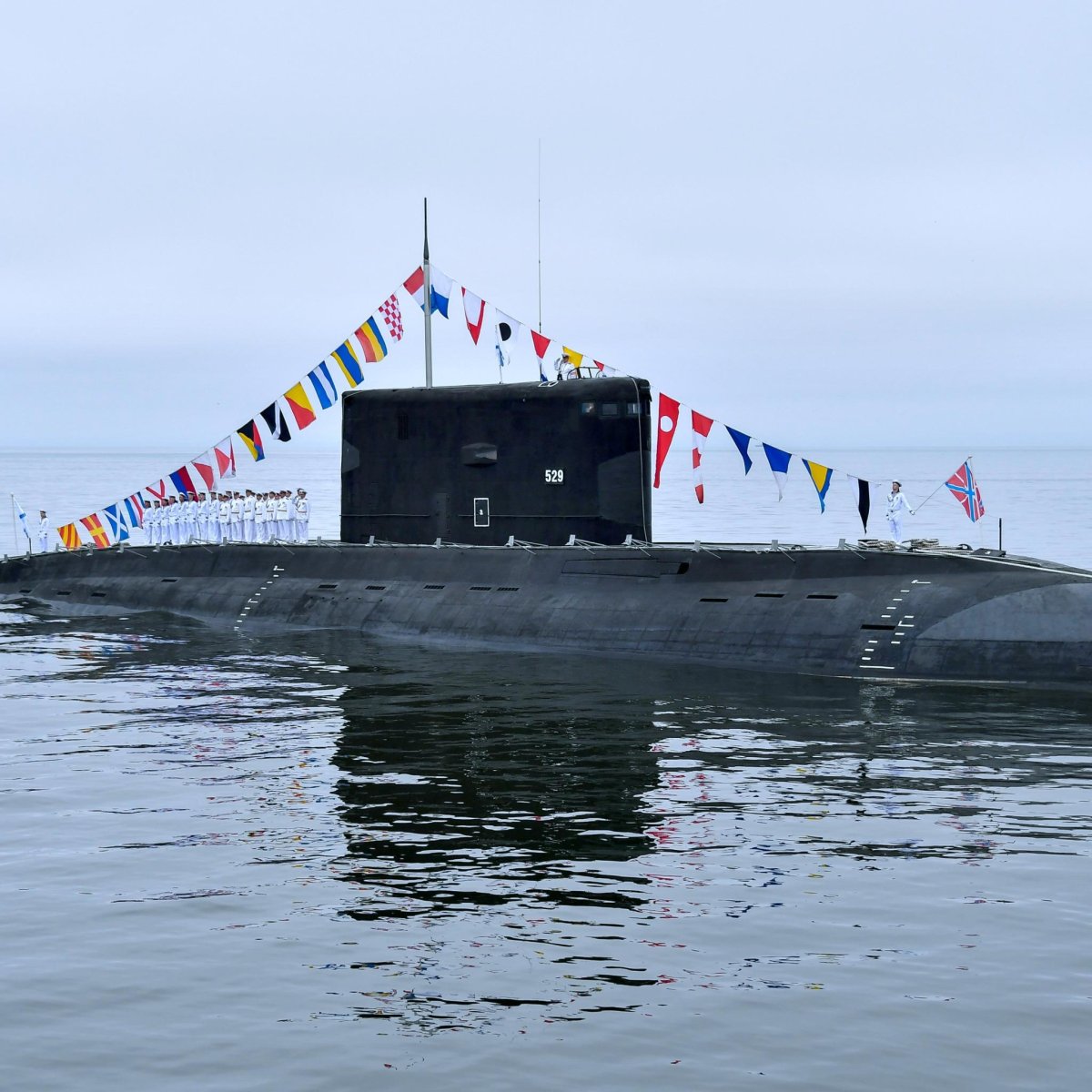 Подводная лодка палтус 877