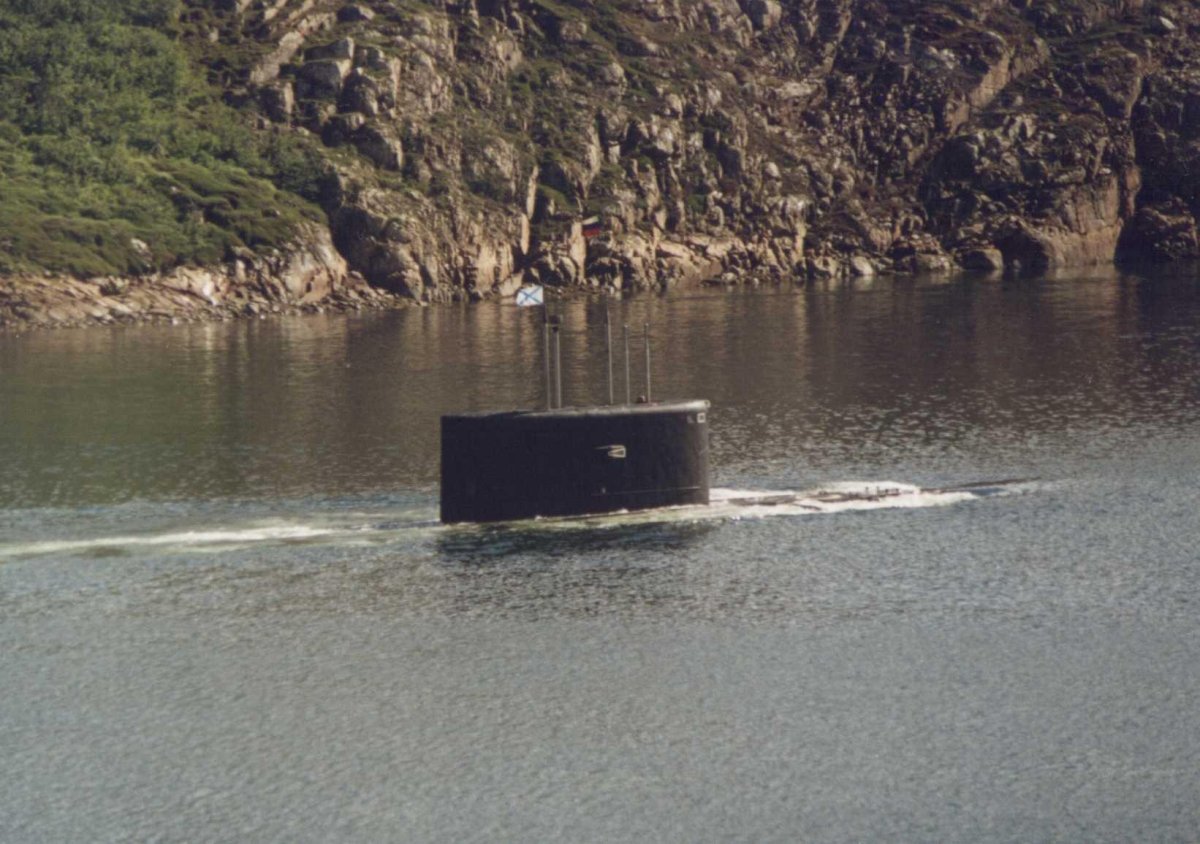 Подводные лодки проекта 877 «палтус»