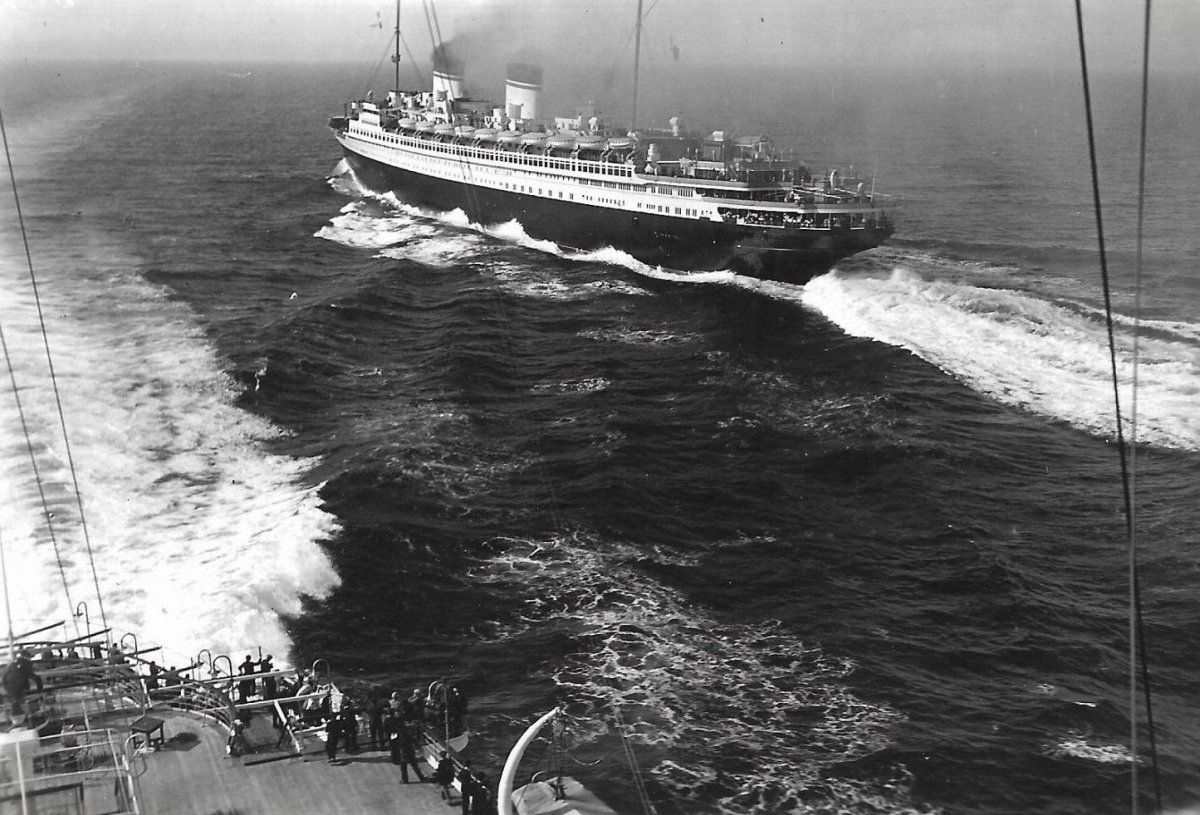 Рекс лайнер