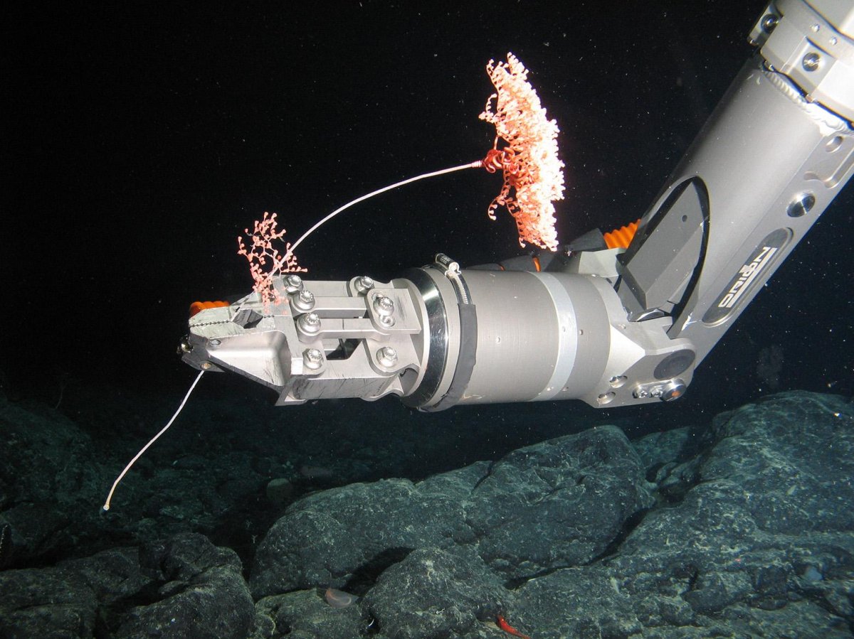 Научно исследовательская Экспедиция в тихом океане