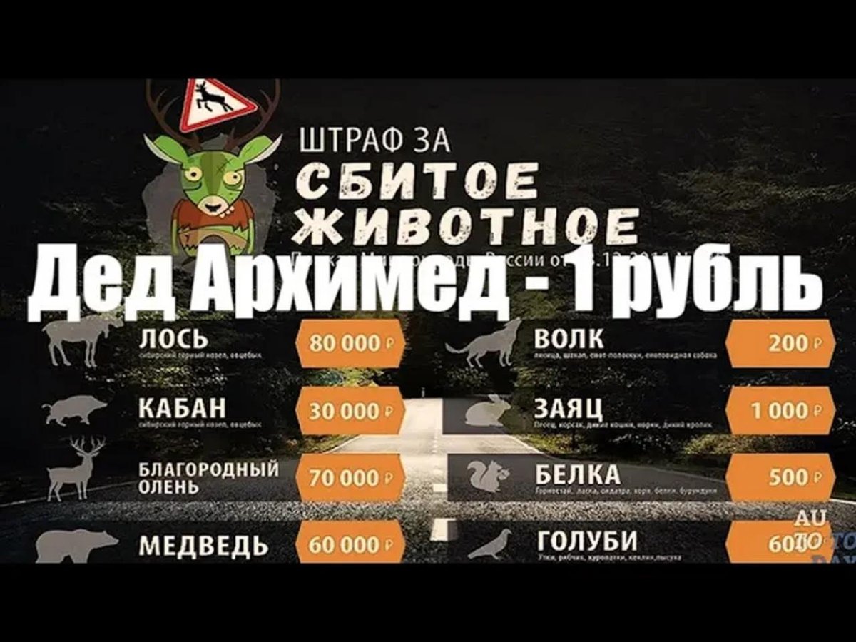 Таблица штрафов за сбитых животных