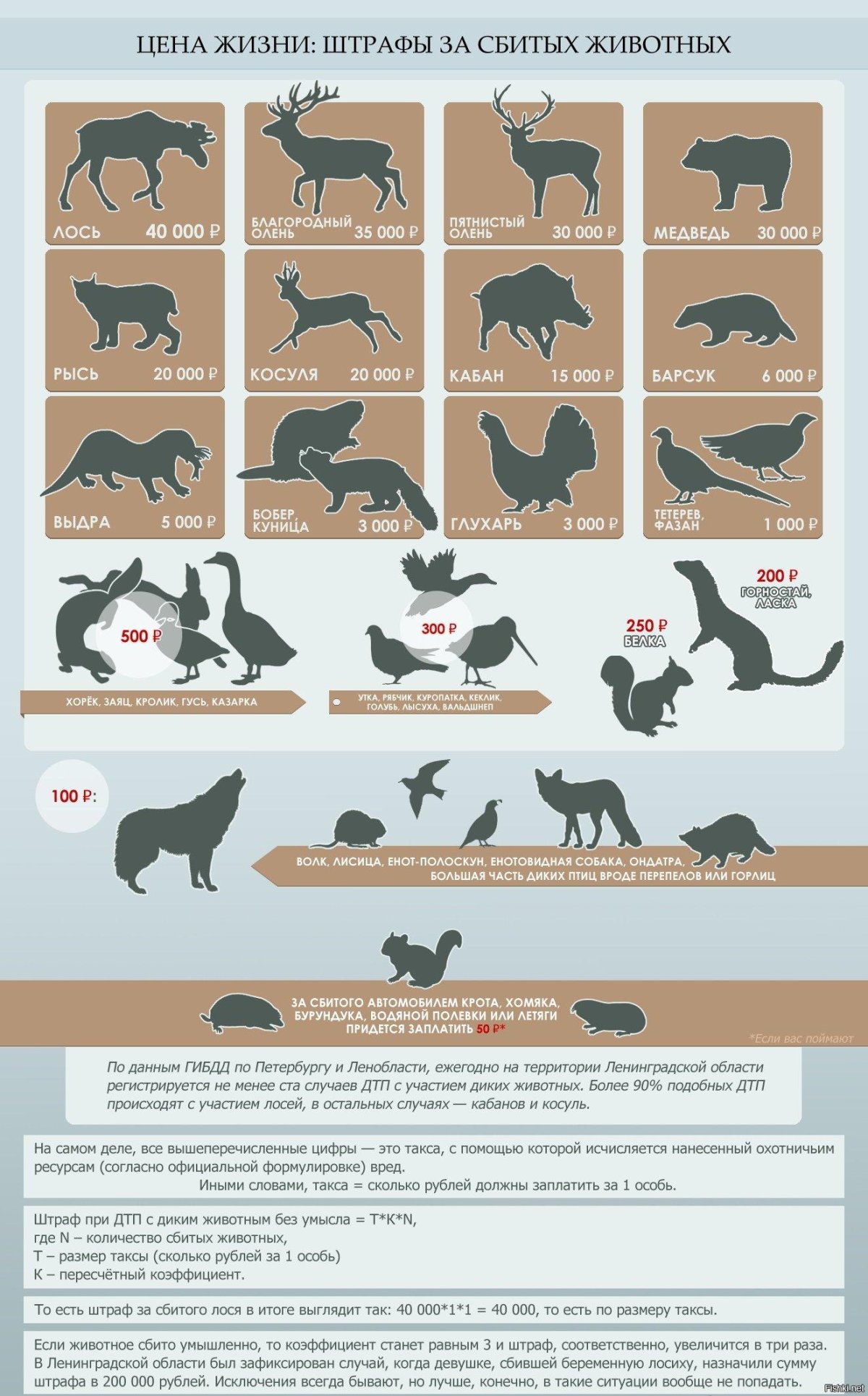 Штраф за сбитие диких животных