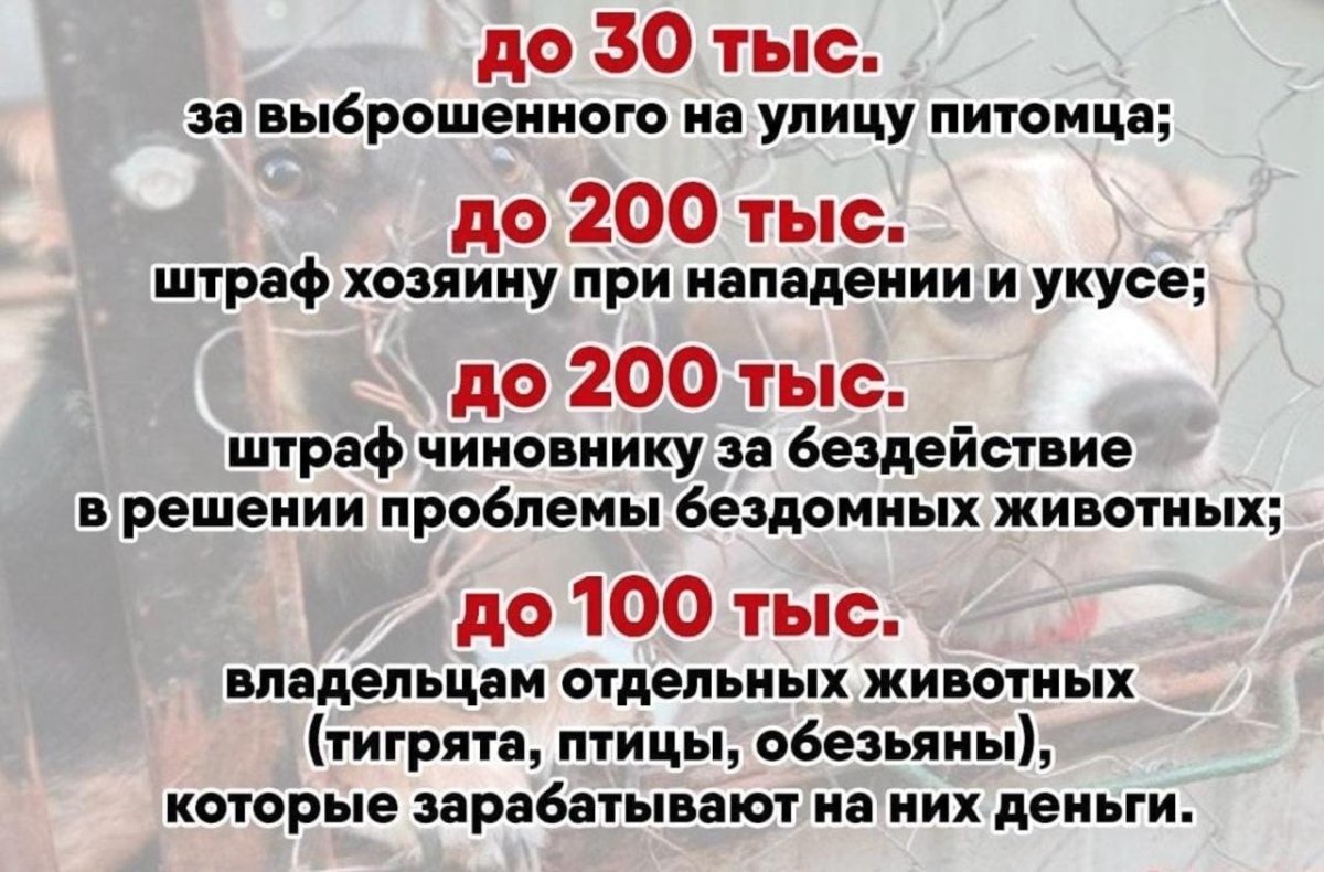 Штрафы за животных