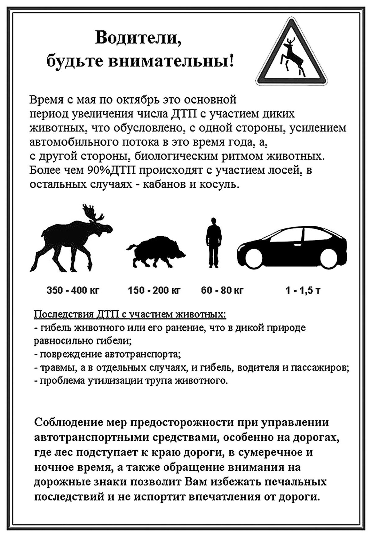 Памятка ДТП С дикими животными