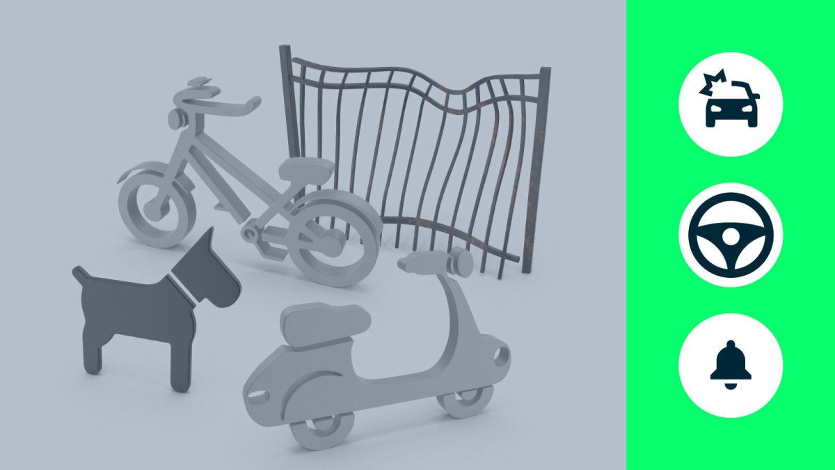 Табличка самокаты собаки видеосъемка