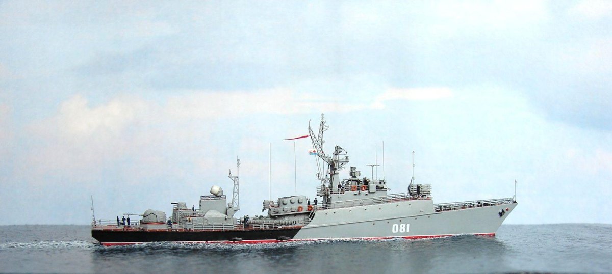 МПК Альбатрос 1124м