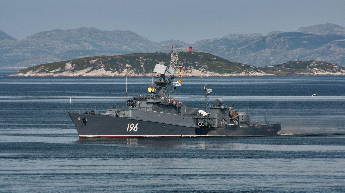 Малый противолодочный корабль Снежногорск