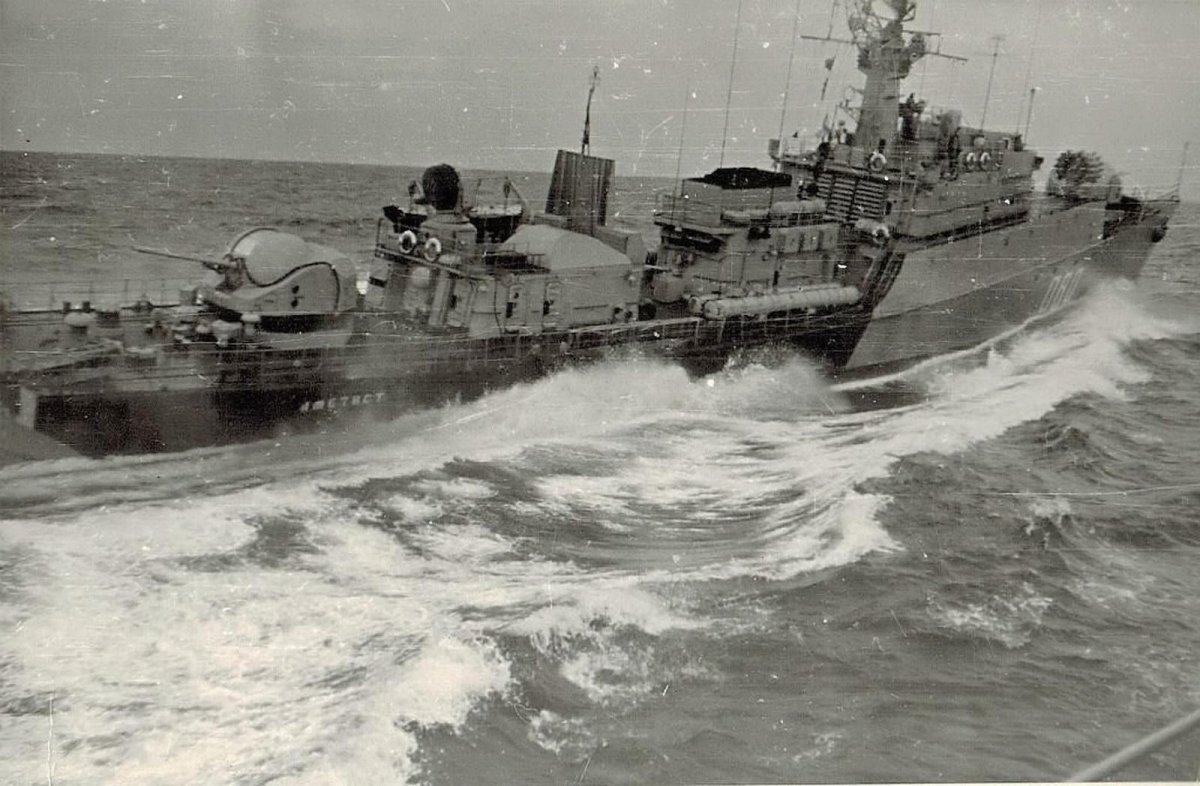 МПК проекта 1124 Альбатрос