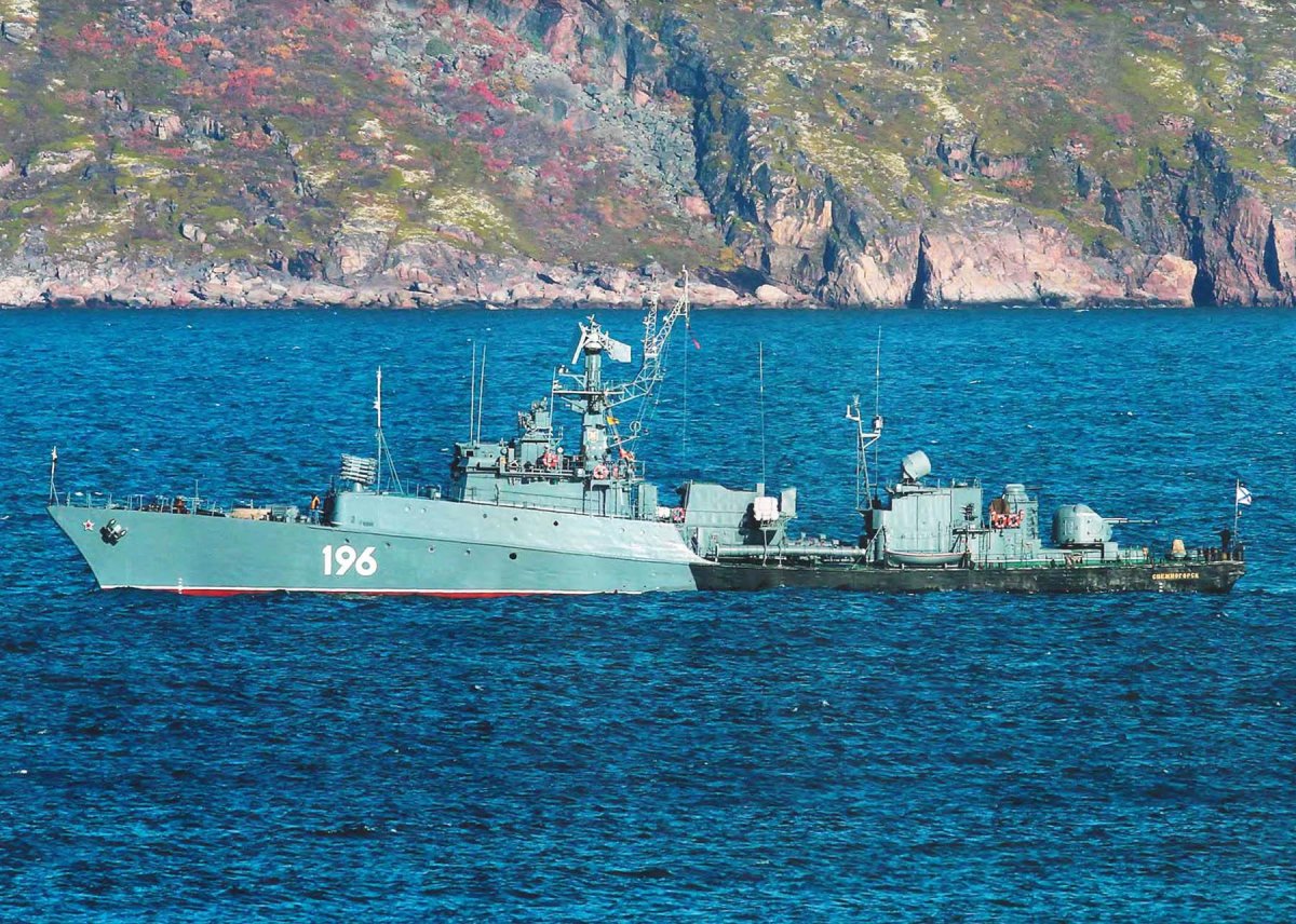 Малые противолодочные корабли проекта 1124м