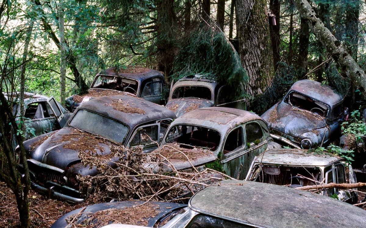 Лефортово свалка автомобилей