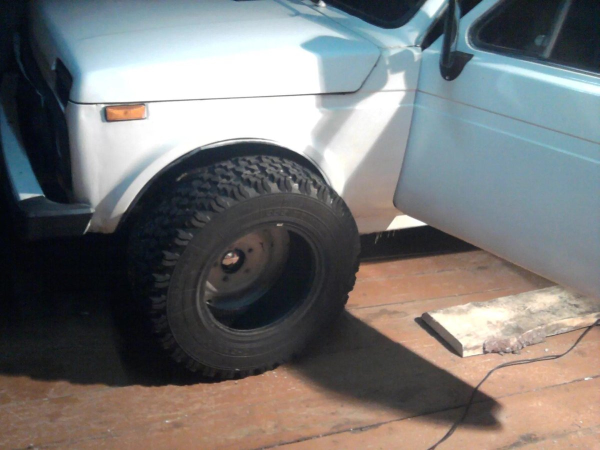 Шины медведь я 569