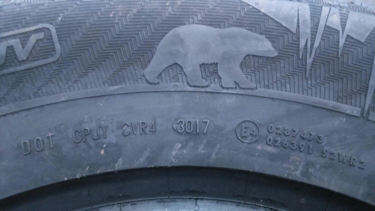 Шины медведь