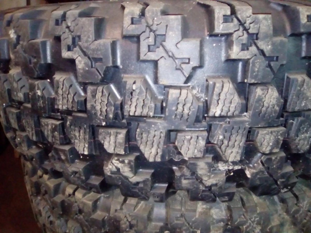 Шины медведь я 569