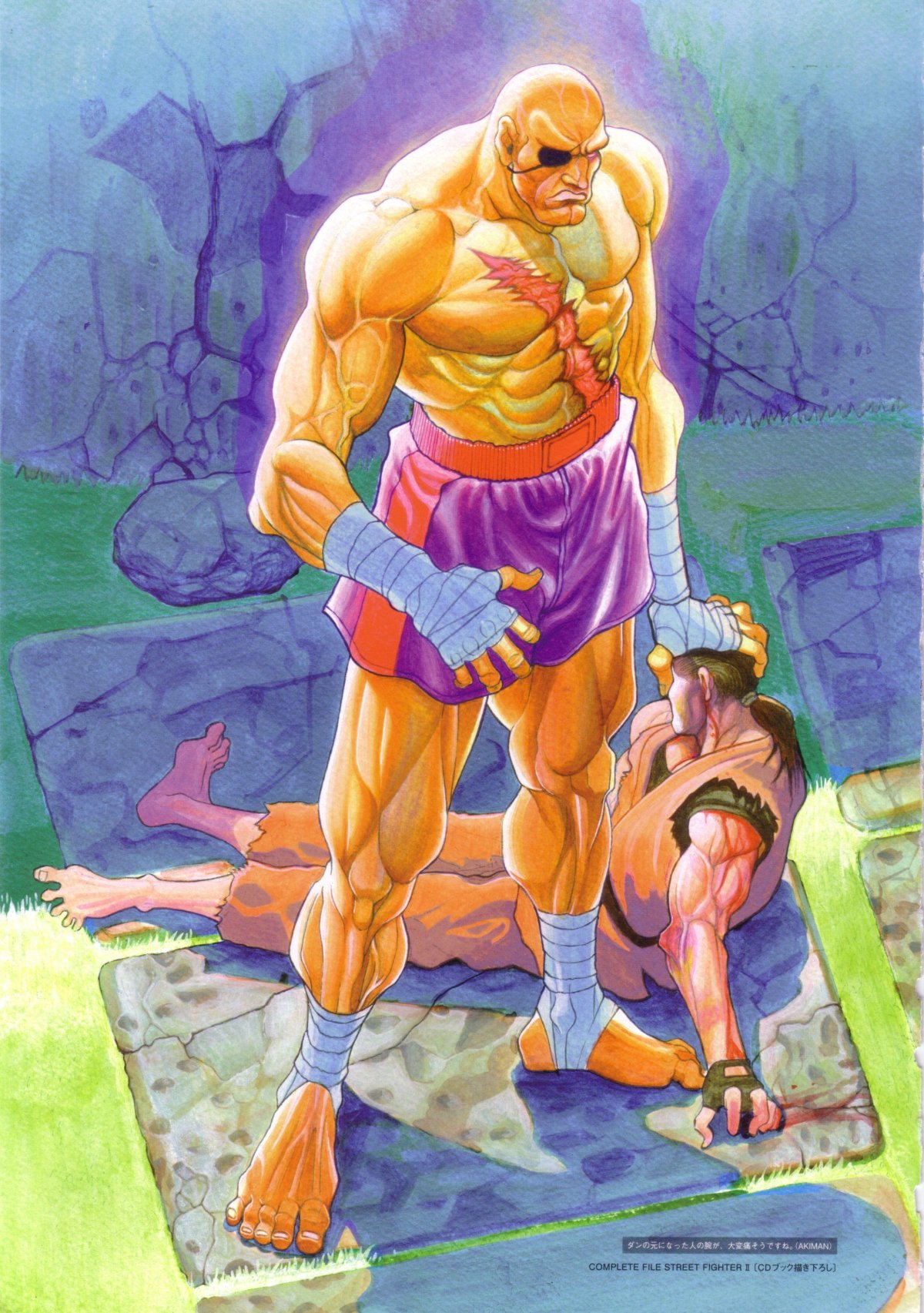 Сагат стритфайтер