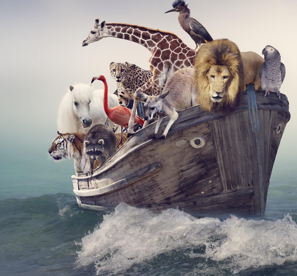 Животные в ковчеге