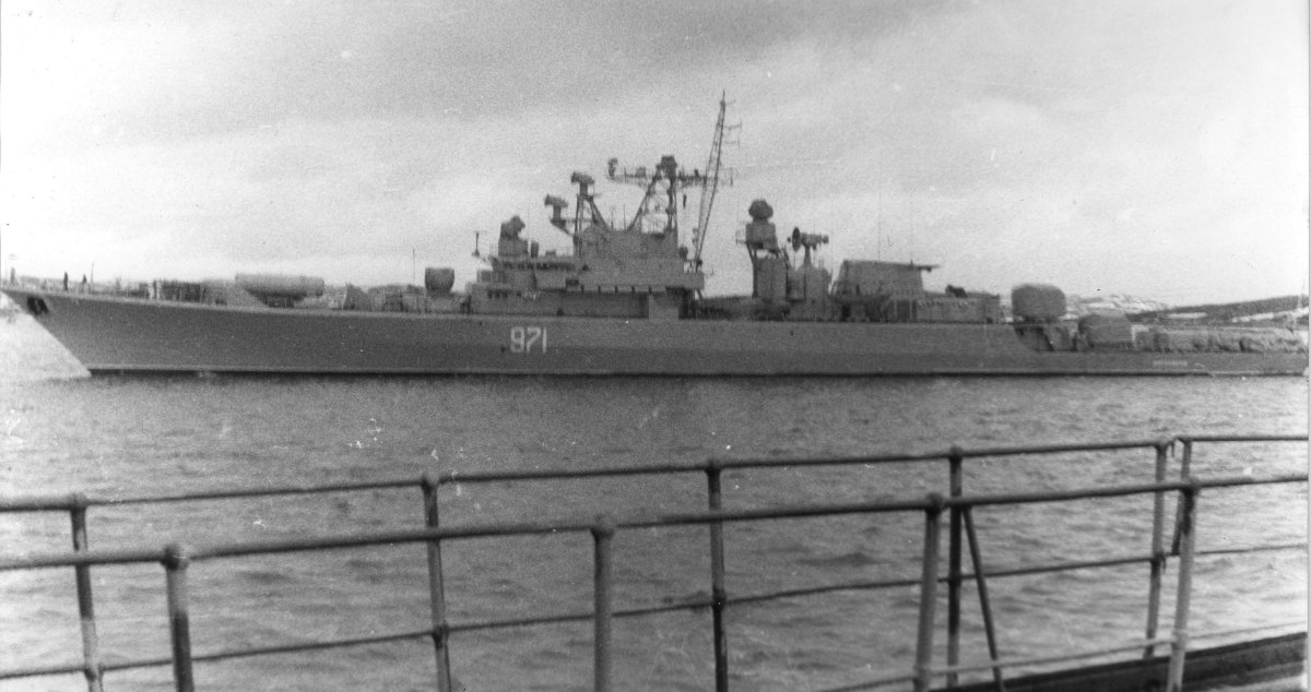 Проект 1135 разительный