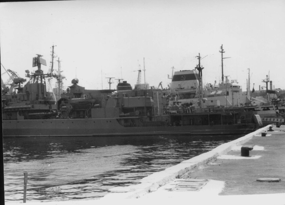 Сторожевые корабли Кедров