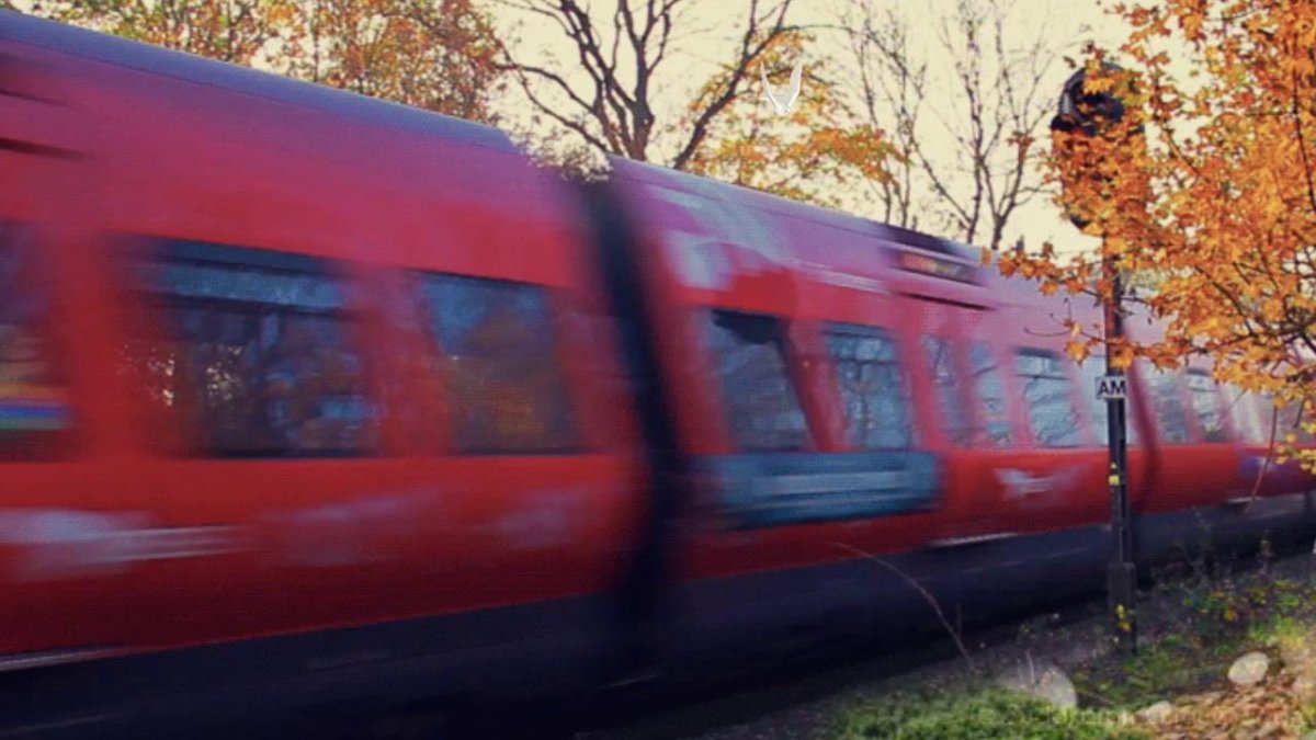 Едем на поезде