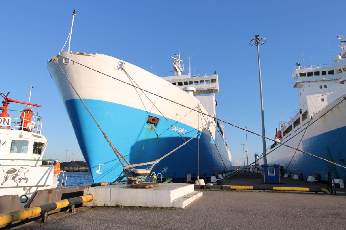 Паром Усть-Луга Балтийск