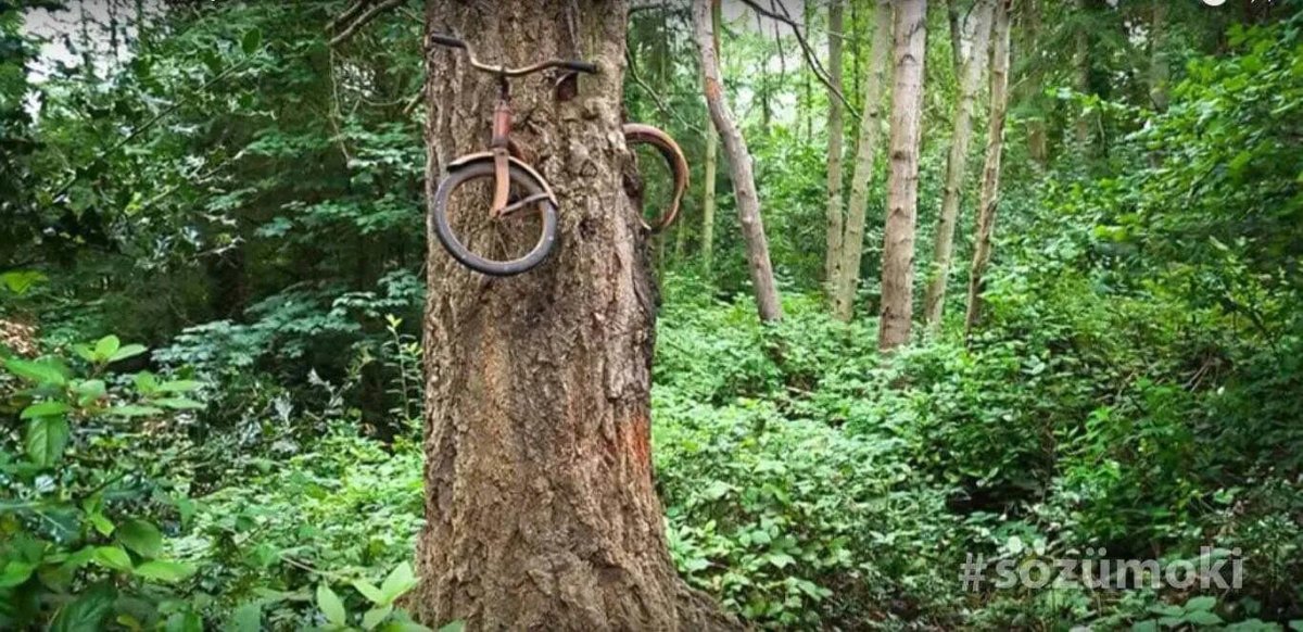 Остров Вашон