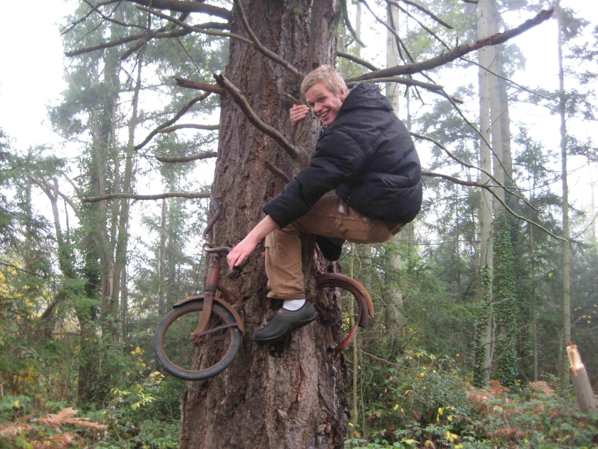 Вросло в дерево