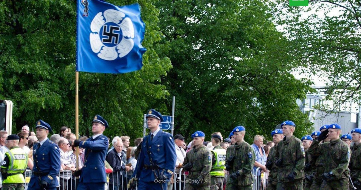 Флаг ВВС Финляндии 2020г