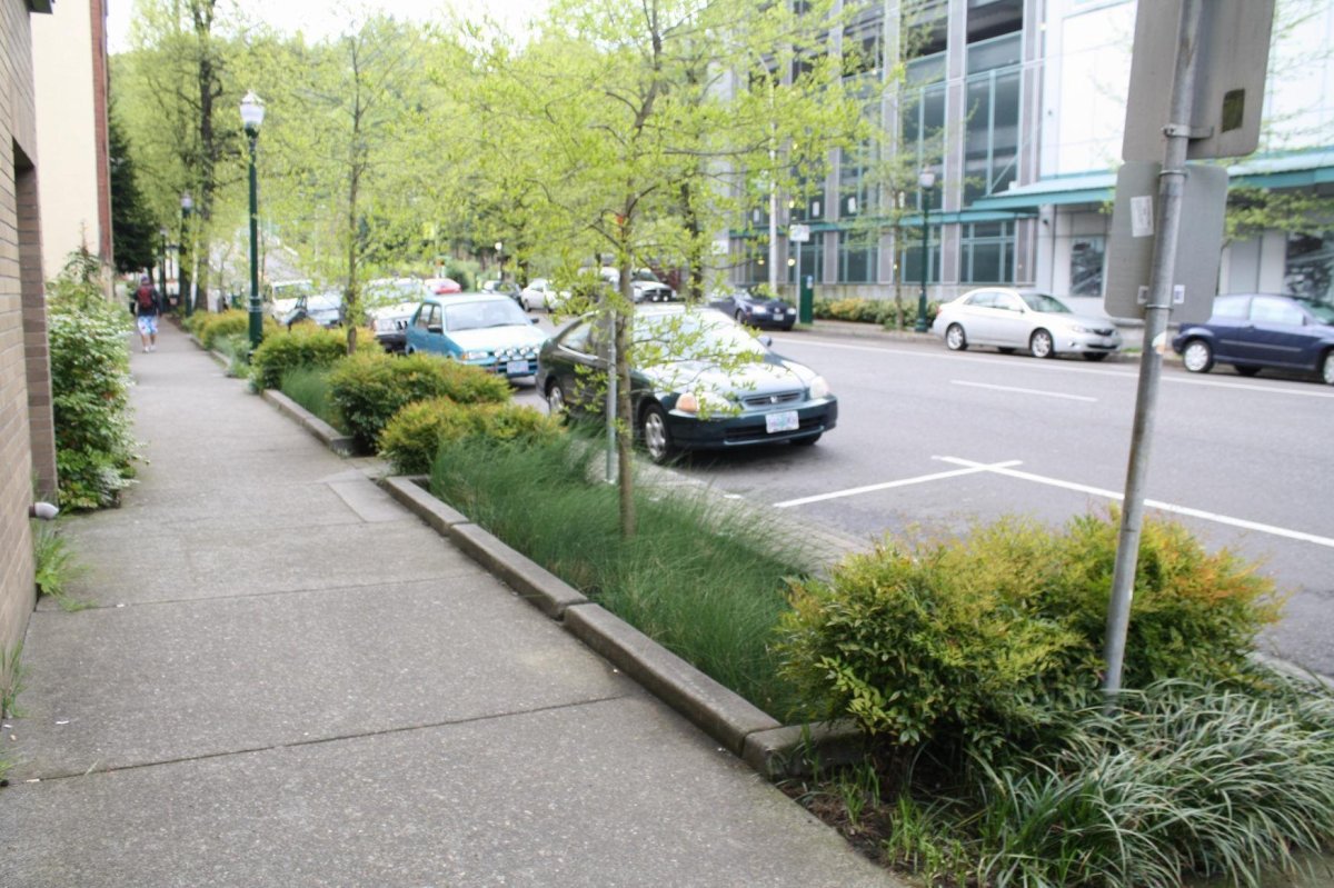 Озеленение парковки