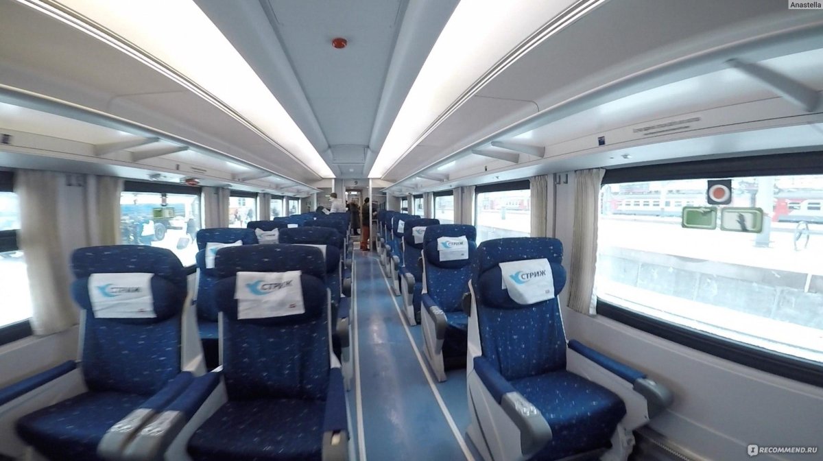 Тальго Стриж