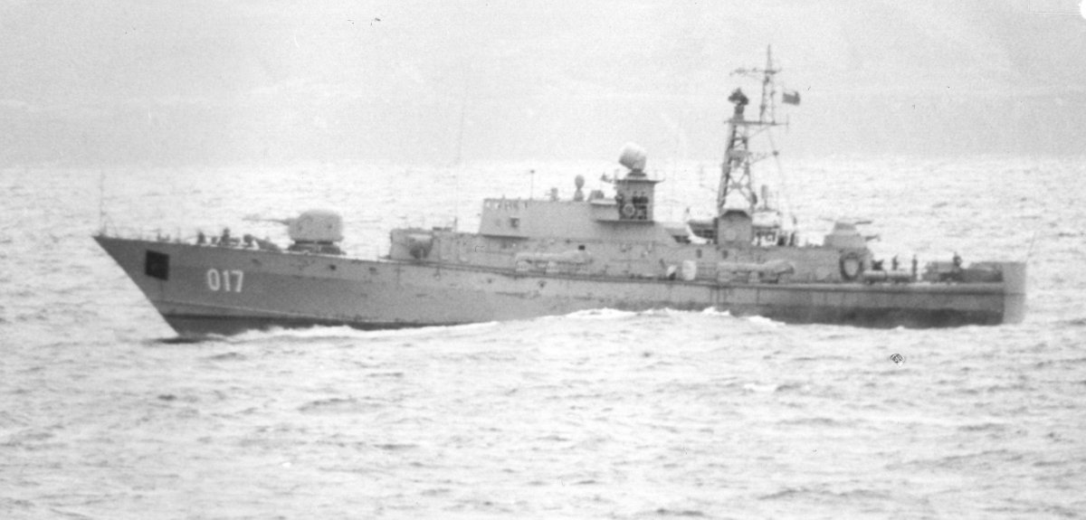 Малые противолодочные корабли проекта 12412