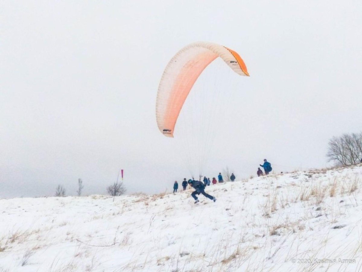 Крыло Алтая