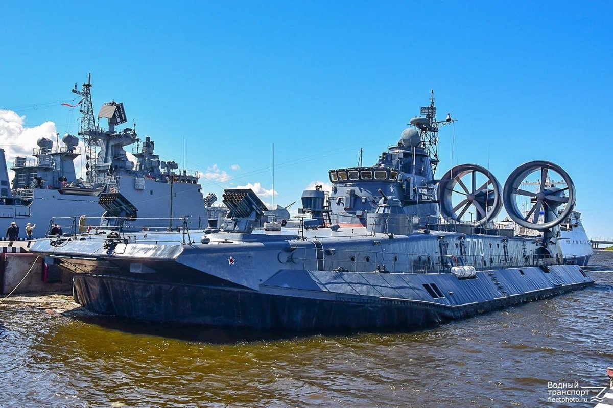 ЗУБР Евгений Кочешков