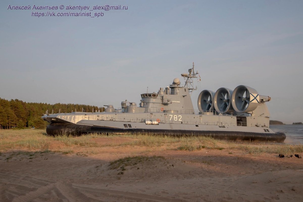 МДКВП Мордовия