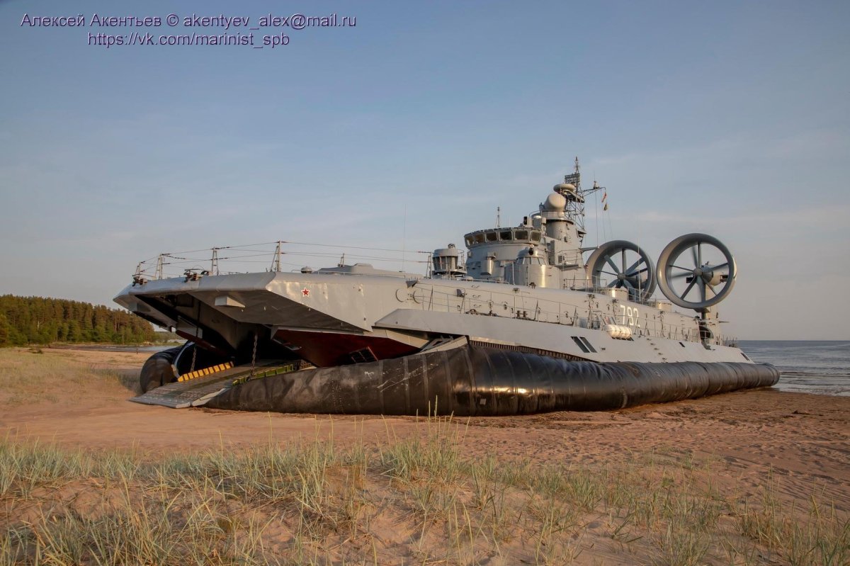 МДКВП Мордовия