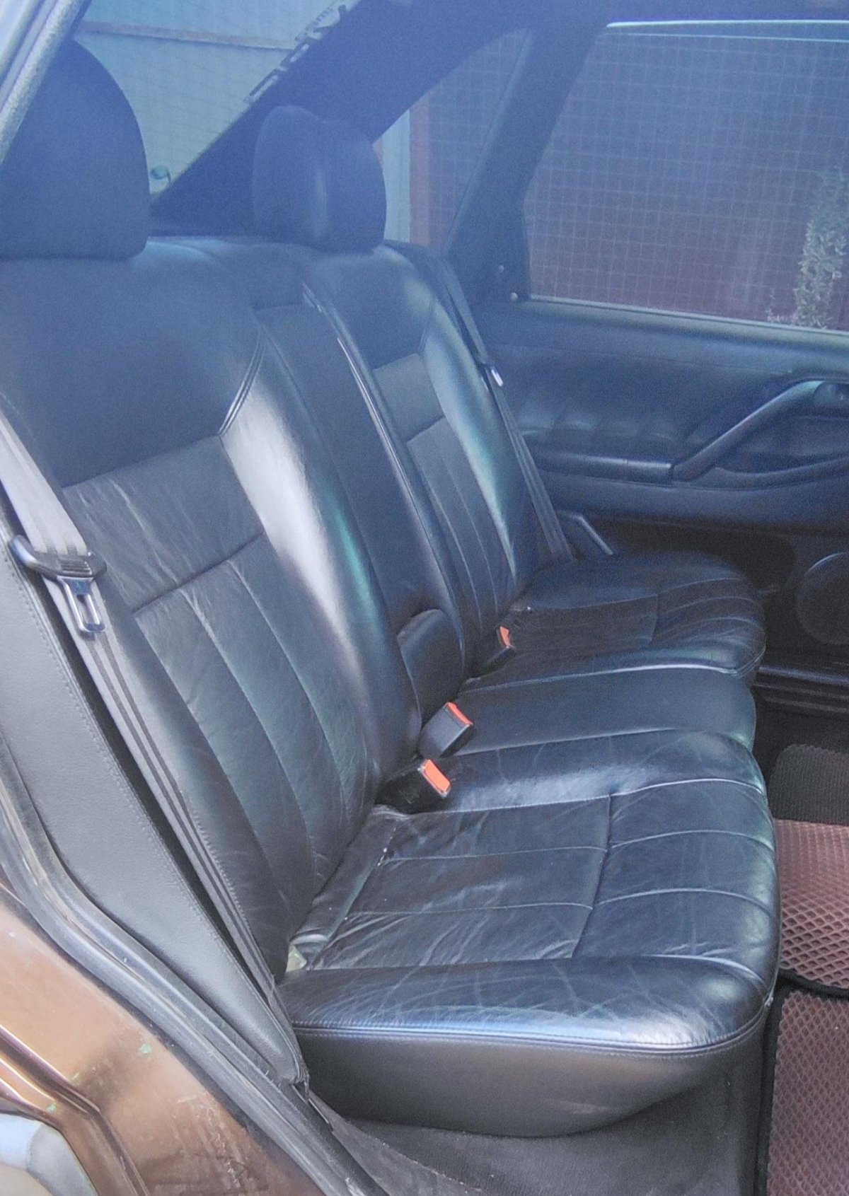 Пассат хожанный